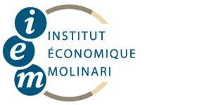 Logo IEM